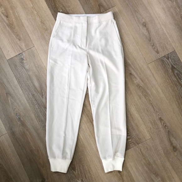 Aritzia Pants - ARITZIA Babaton Allegory Jogger Trouser